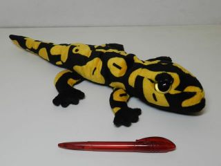 Obrázek z Mlok skvrnitý, plyš 40cm(6) 